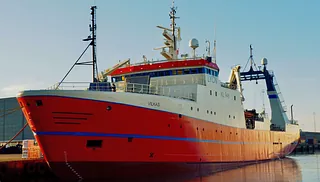 Vilkas rejetrawler