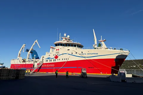 Atlantic Enterprise ved Harbour Grace, juni 2026 i skov på Bornholm