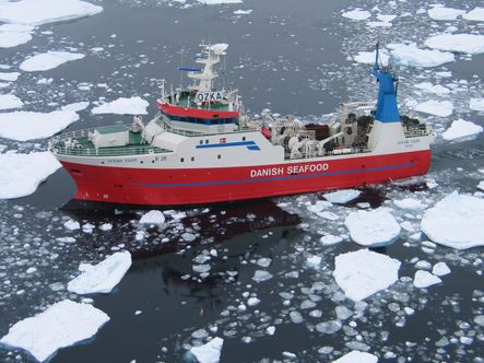 Fiskeriaftale mellem EU og Grønland er endelig på plads - Ocean Tiger i is
